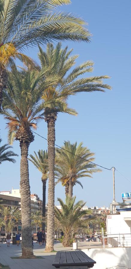 Costa Blanka Resident Apartman Torrevieja Exteriér fotografie